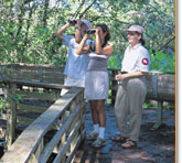 Fort Myers and Naples Attractions